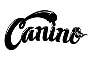 default-logo